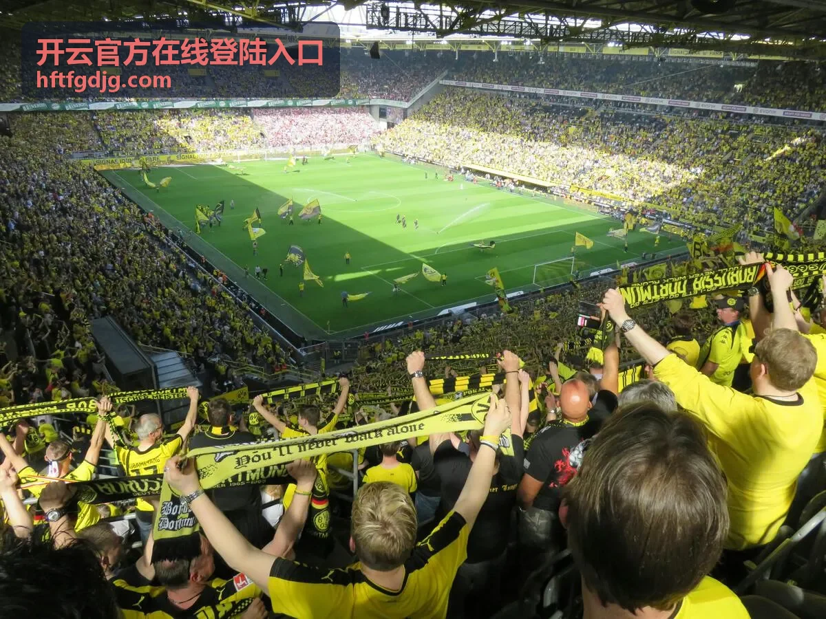 开云官方在线登陆入口官方资讯中心全面改版
